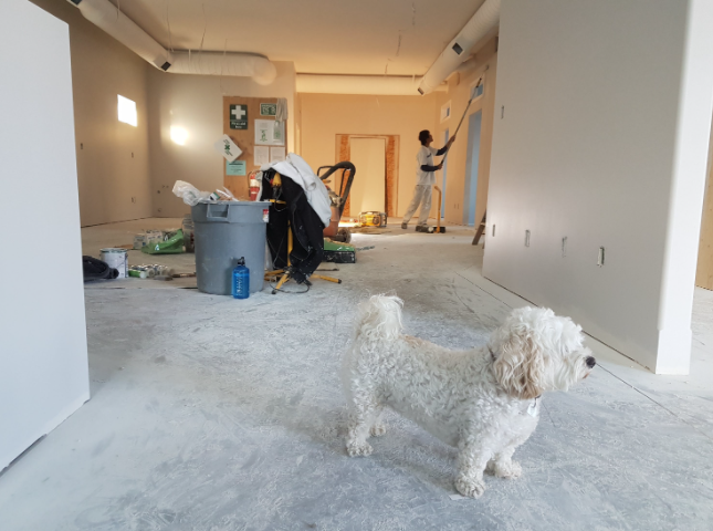 Simple Ways to Save More Money on Home Remodeling